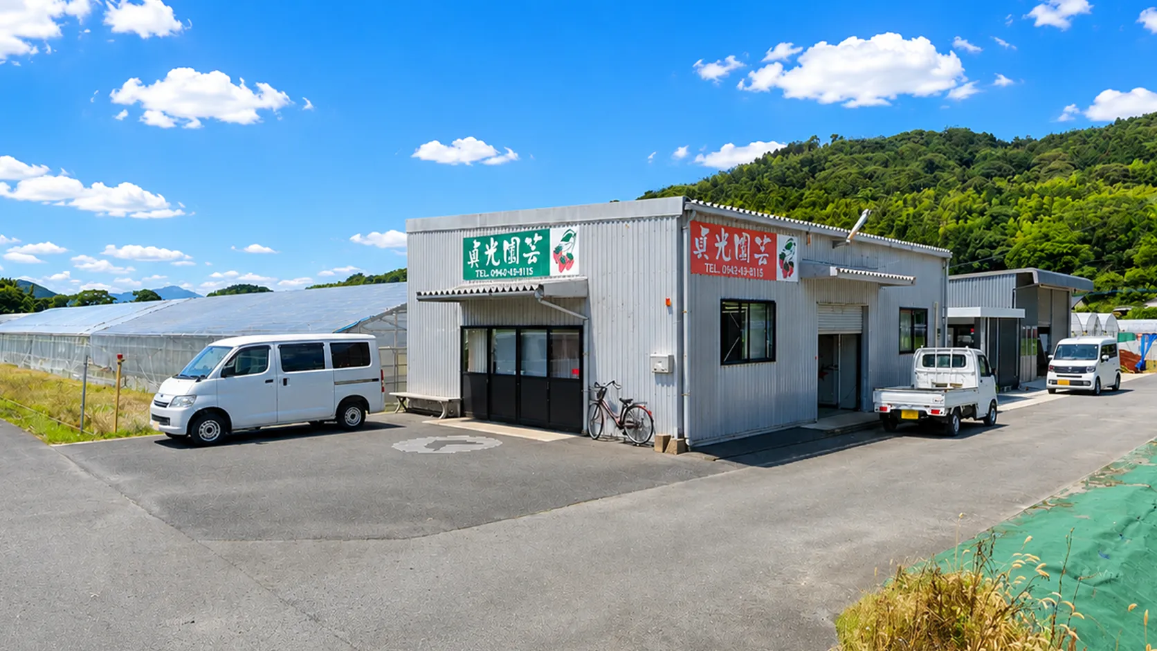 店舗販売